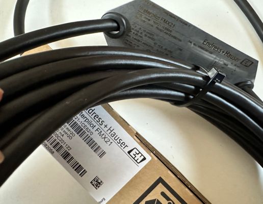 Endress+Hauser FMX21-1CE62/1 수위계, 세라믹 측정 셀 포함