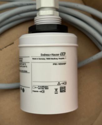 Endress Hauser FDU91-RG1AA 초음파 레벨 센서