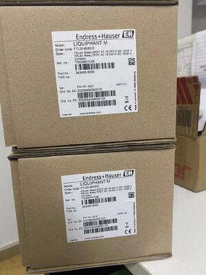 Endress Hauser FTL50-1DN80/0 진동식 점 레벨 스위치